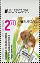 Harvest Mouse (Micromys minutus)