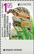 Hermann's Tortoise (Testudo hermanni)