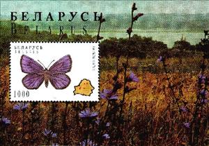 Stamp, Souvenir sheet Butterflies - Proserpinus proserpina, Belarus,  