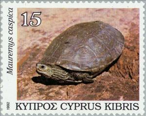 Stamp, Caspian Turtle (Mauremys caspica), Cyprus,  , Reptiles, Turtles, Animals (Fauna)