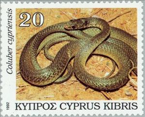 Stamp, Cyprus Whip Snake (Coluber cypriensis), Cyprus,  , Reptiles, Snakes, Animals (Fauna)