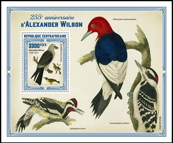 Alexander Wilson (1766-1813)