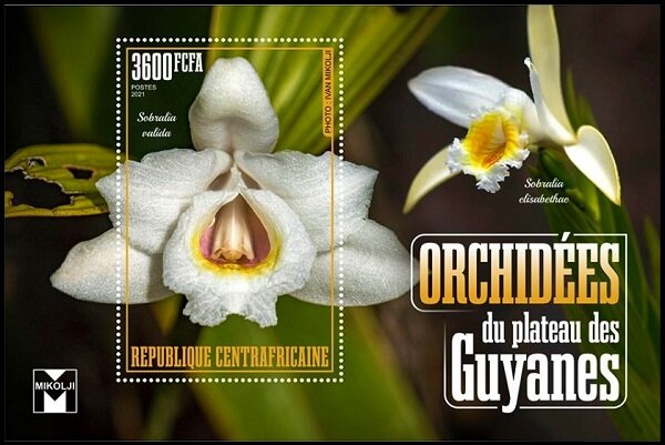 Sobralia valida