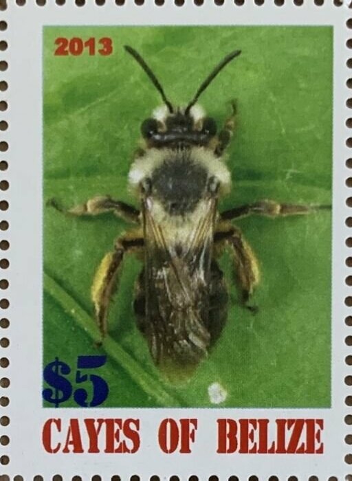 Bees