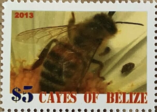 Bees