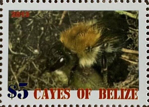 Bees