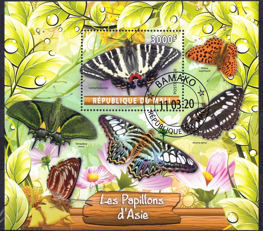 Butterflies