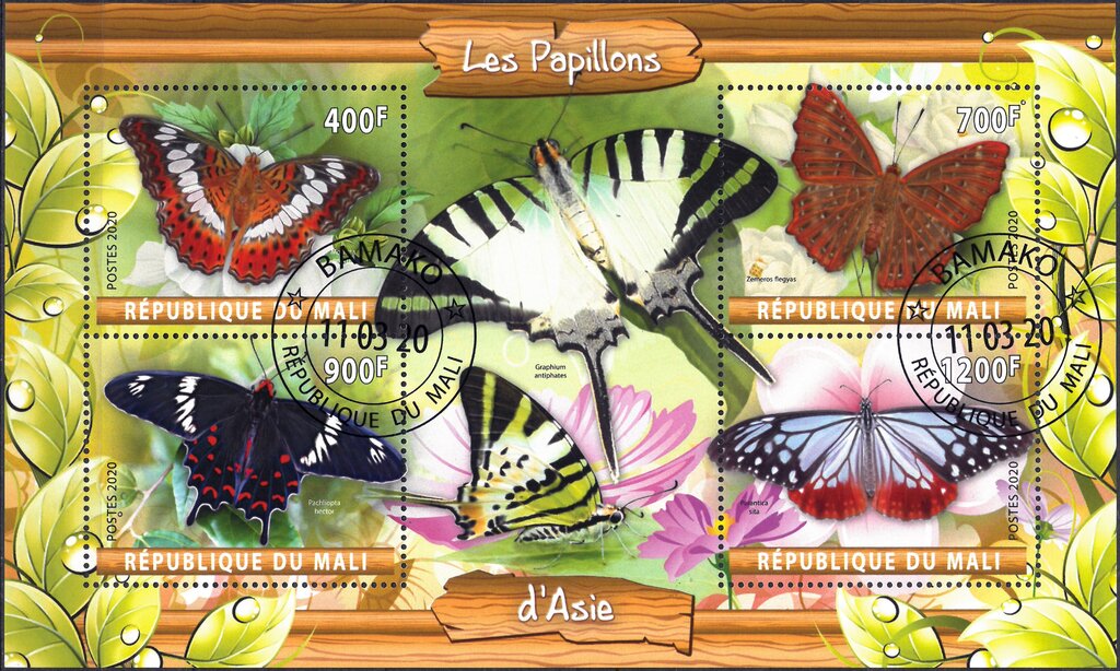 Butterflies