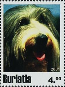 Stamp, Dogs, Cinderellas,  , Animals (Fauna), Dogs