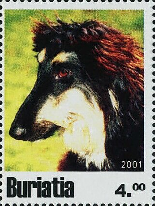 Dogs