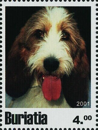 Dogs