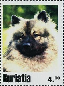 Stamp, Dogs, Cinderellas,  , Animals (Fauna), Dogs
