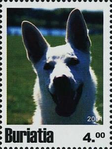 Stamp, Dogs, Cinderellas,  , Animals (Fauna), Dogs