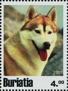 Stamp, Dogs, Cinderellas,  , Animals (Fauna), Dogs