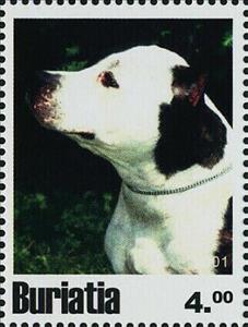 Stamp, Dogs, Cinderellas,  , Animals (Fauna), Dogs