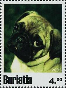 Stamp, Dogs, Cinderellas,  , Animals (Fauna), Dogs