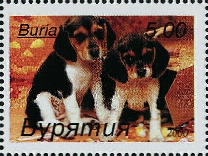 Dogs
