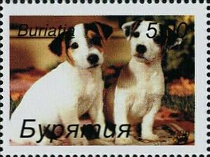 Stamp, Dogs, Cinderellas,  , Animals (Fauna), Dogs