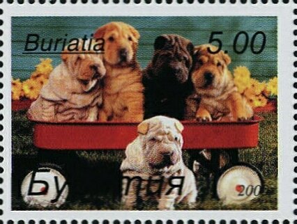 Dogs