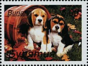 Stamp, Dogs, Cinderellas,  , Animals (Fauna), Dogs