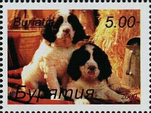 Stamp, Dogs, Cinderellas,  , Animals (Fauna), Dogs