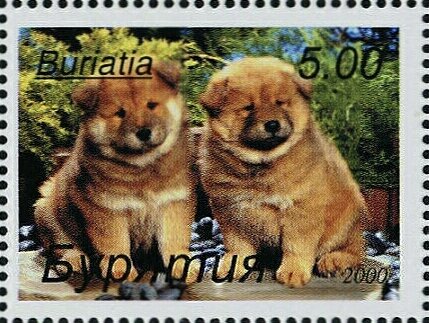 Dogs