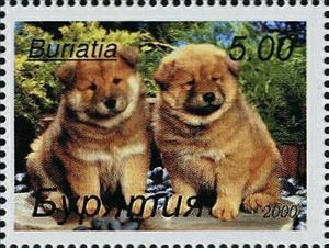 Stamp, Dogs, Cinderellas,  , Animals (Fauna), Dogs