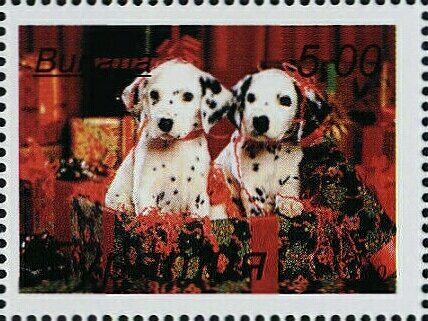 Dogs