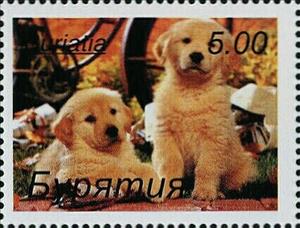 Stamp, Dogs, Cinderellas,  , Animals (Fauna), Dogs