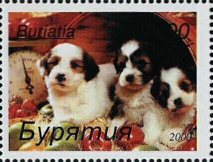 Dogs