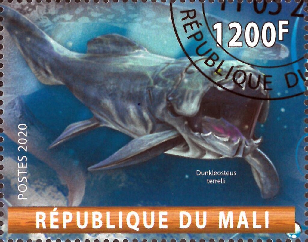 Dunkleosteus terrelli