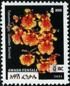 Stamp, Flowers, Cinderellas,  , Flowers, Plants (Flora)