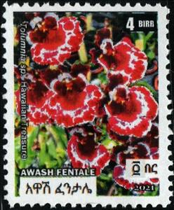 Stamp, Flowers, Cinderellas,  , Flowers, Plants (Flora)