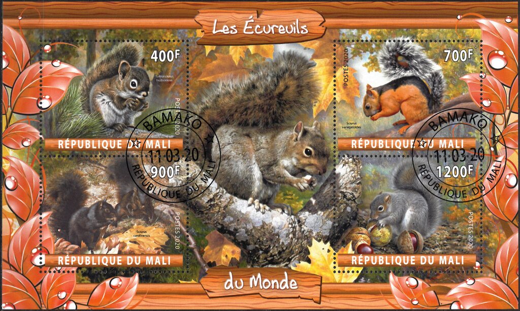 Les Ecurevils du Monde