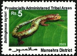 Stamp, Lizards, Cinderellas,  , Animals (Fauna), Lizards