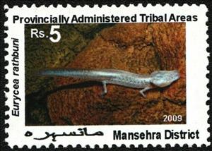 Stamp, Lizards, Cinderellas,  , Animals (Fauna), Lizards