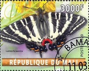 Stamp, Luehdorfia japonica, Cinderellas,  , Animals (Fauna), Butterflies, Insects