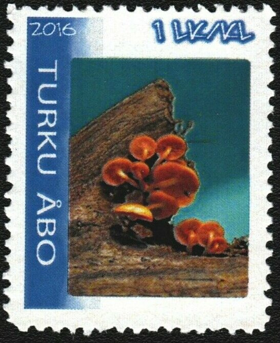 Mushrooms