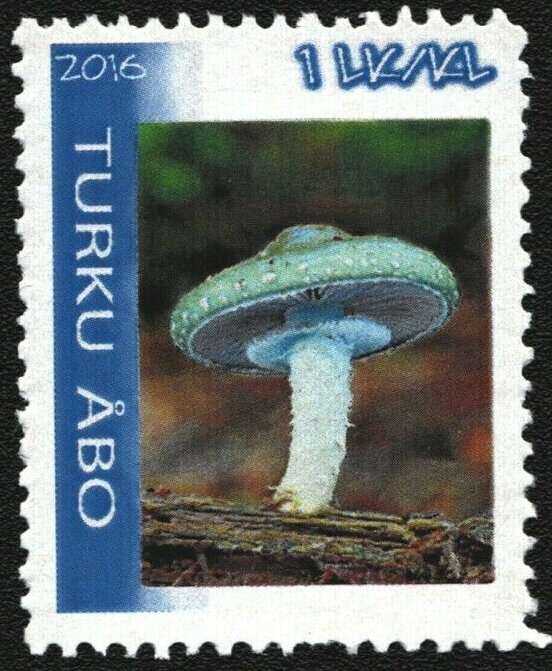 Mushrooms