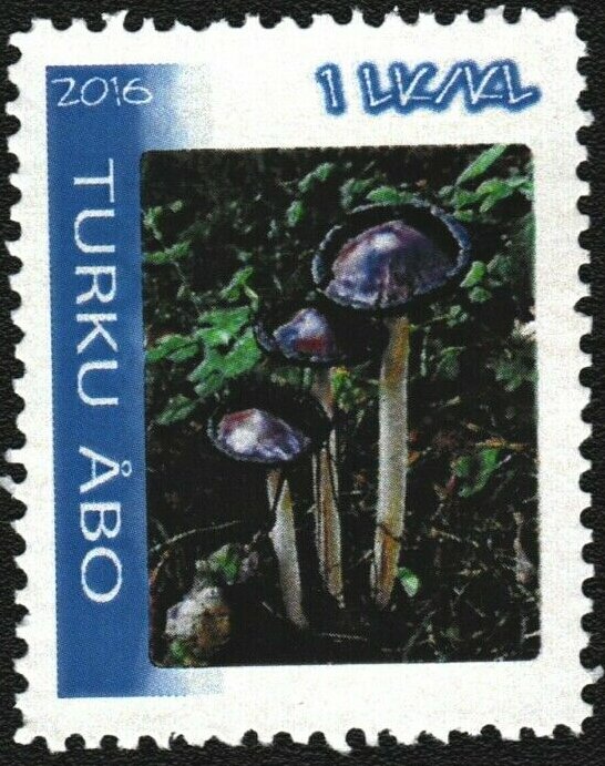 Mushrooms