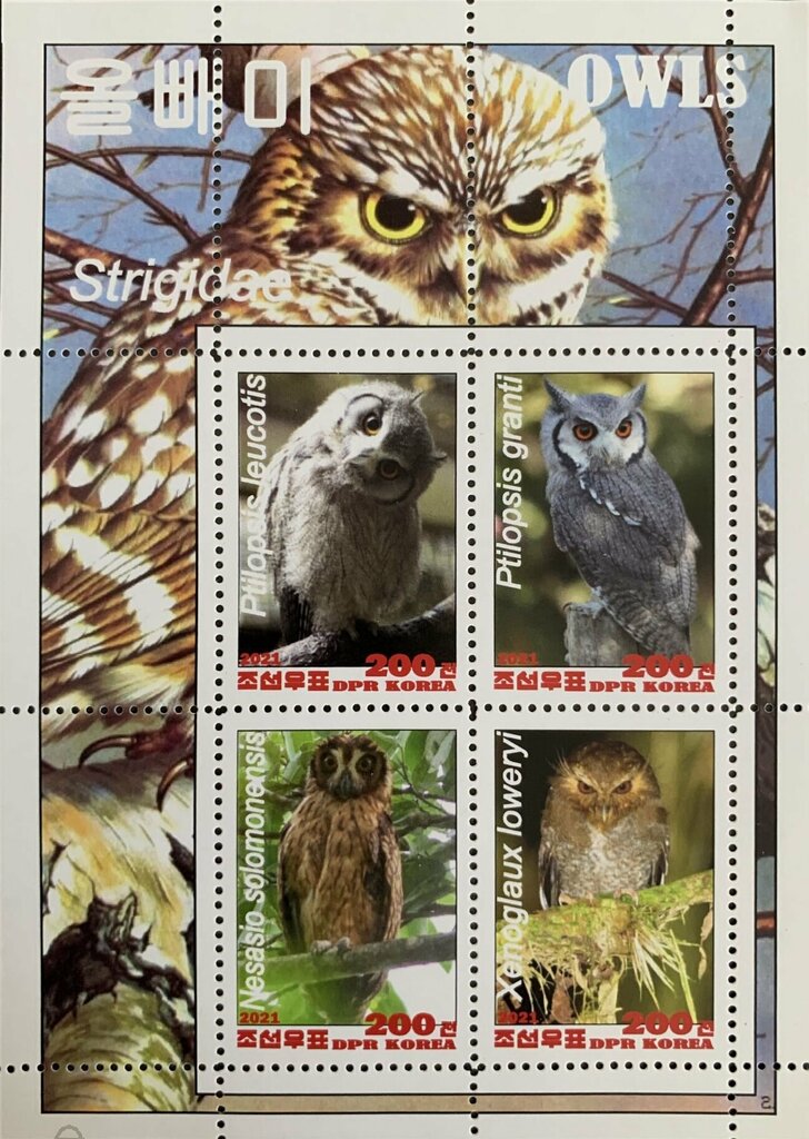Owls