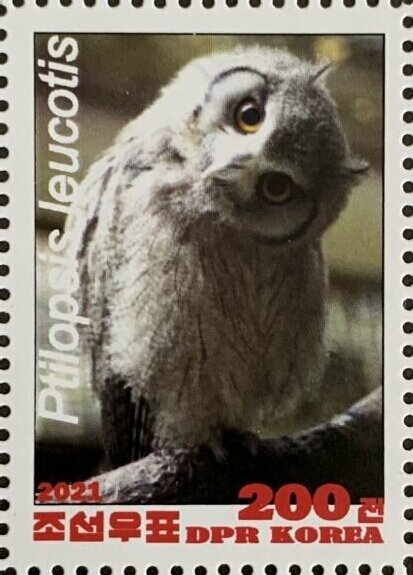 Owls