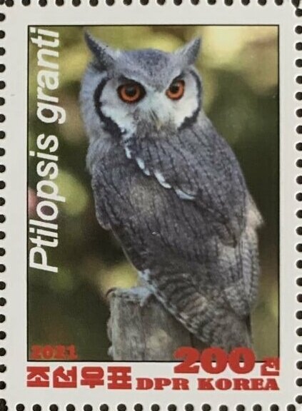 Owls