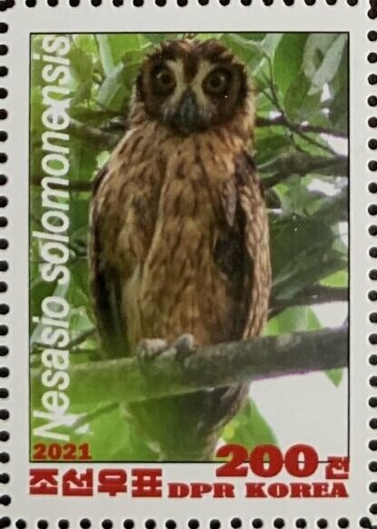 Owls