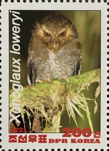 Owls