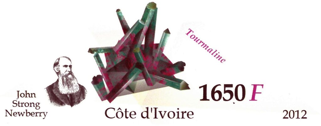 Tourmaline and John Strong Newberry