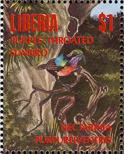 Stamp, Purple Throated Sunbird (Leptocoma sperata), Liberia,  , Birds, Animals (Fauna)