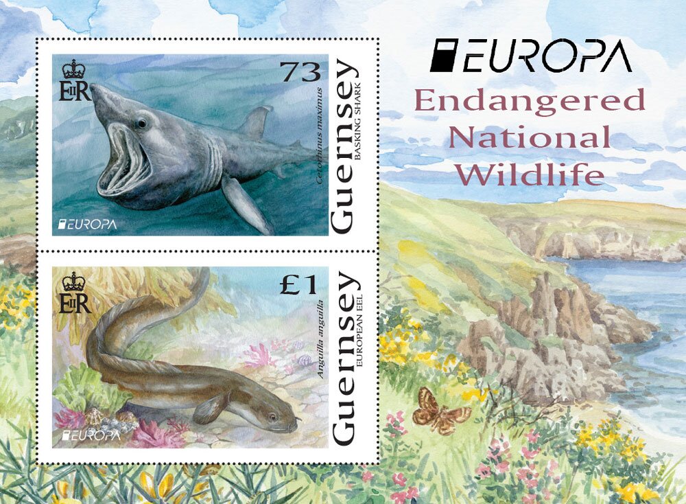 Endangered Wildlife