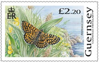 Glanville Fritillary (Melitaea cinxia)