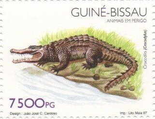 Crocodile